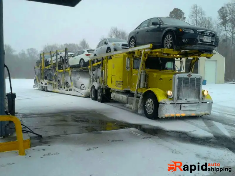 Cheap Winter car shipment