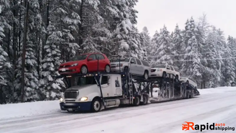 multiple car shipping