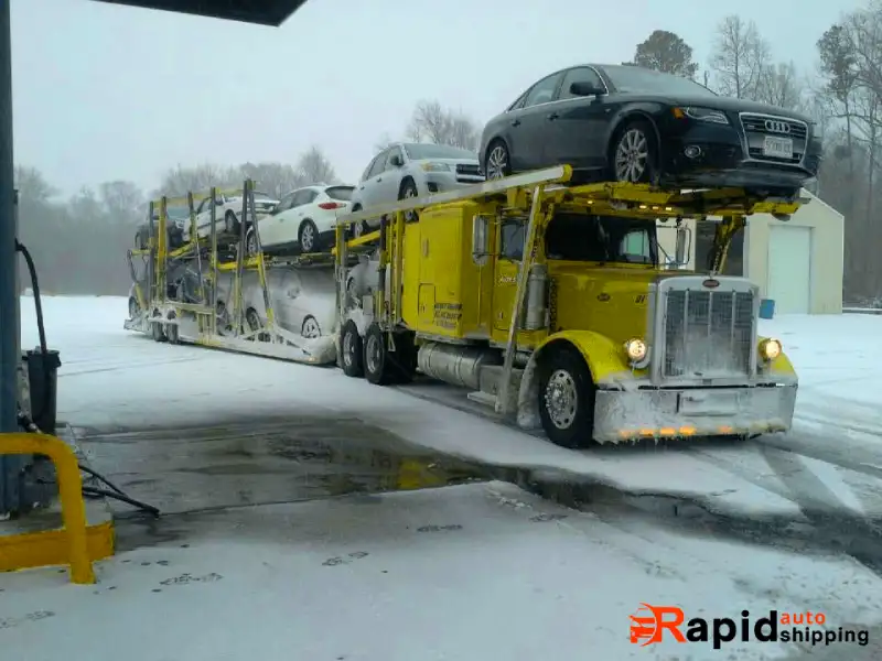 snowbird car delivery service