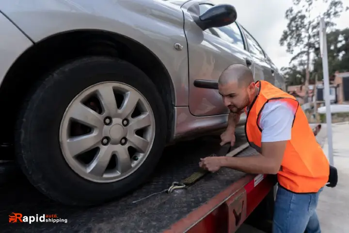 auction car transport